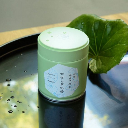 Boîte Hermétique Acier Inoxydable Pour Matcha Mijn winkel